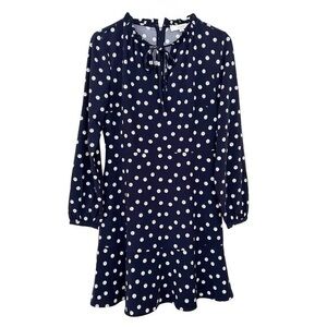 LOFT Navy and White Dress